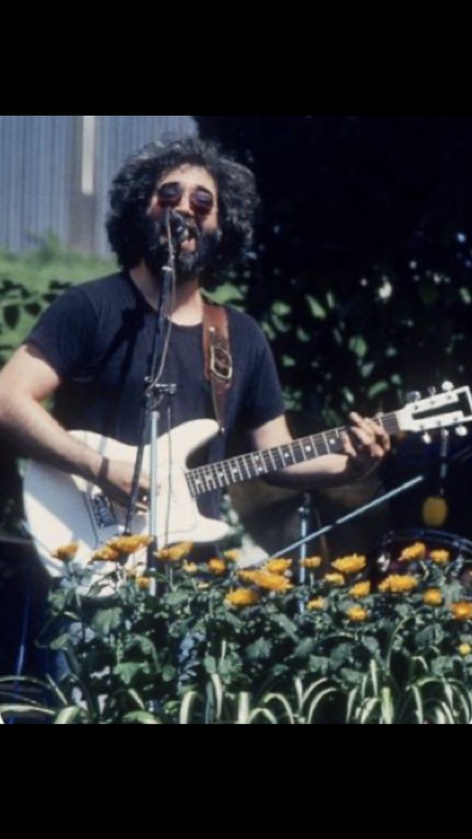 Deadhead MN tweet media