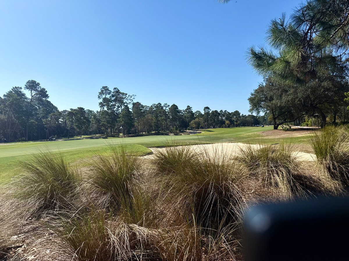 Rendy Lovelady tweet media