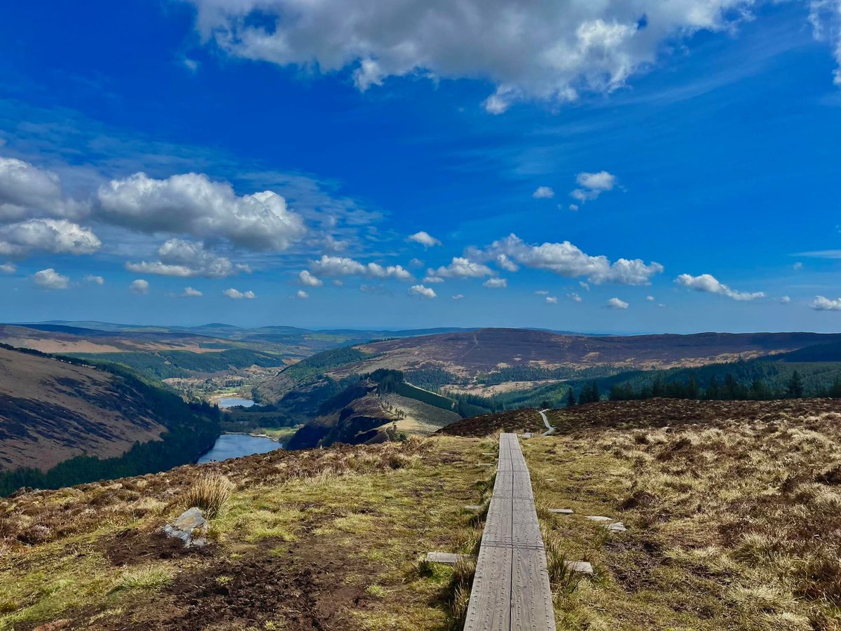 tang freres tweet media