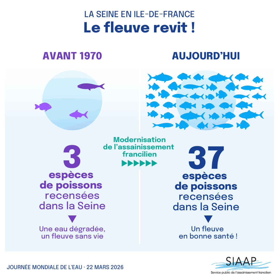 Le_SIAAP's tweet photo. #JournéeMondialeDelEau
La Seine revit !
La qualité de la Seine n’a jamais été aussi bonne depuis plus de 50 ans : moins de pollution, une eau plus saine, une biodiversité retrouvée.
Grâce à son action, le SIAAP améliore durablement la qualité du fleuve.
Le SIAAP, engagé au service de l’eau