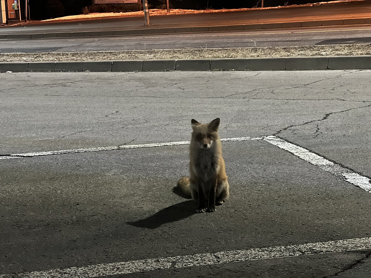 Tomohiro M. NAKAYAMA tweet media