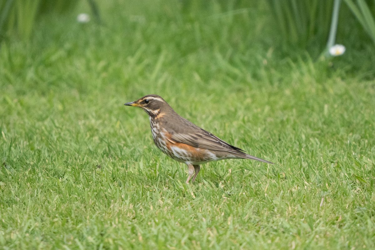 Phil Woollen tweet media