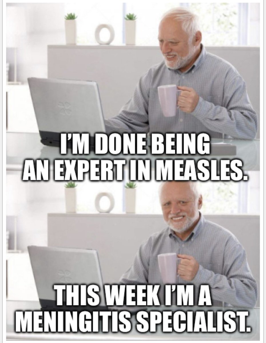 Dr. Jonathan N. Stea tweet media