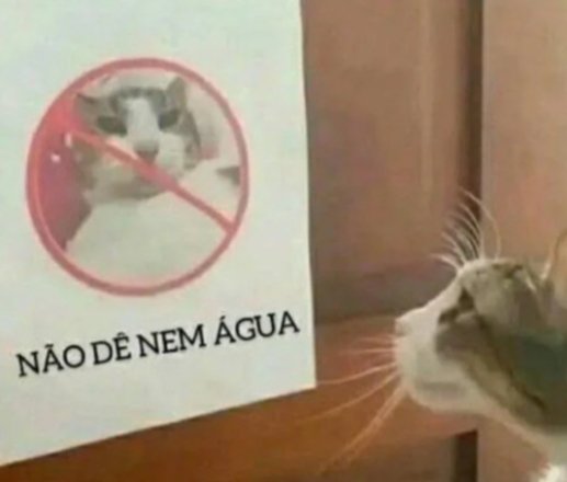 m4fe | TETRACAMPEÃ 🚩🏆 tweet media