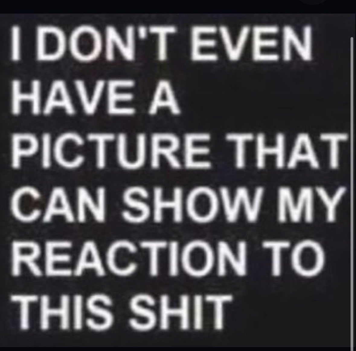 D-rex (aka DIHH-rex) tweet media