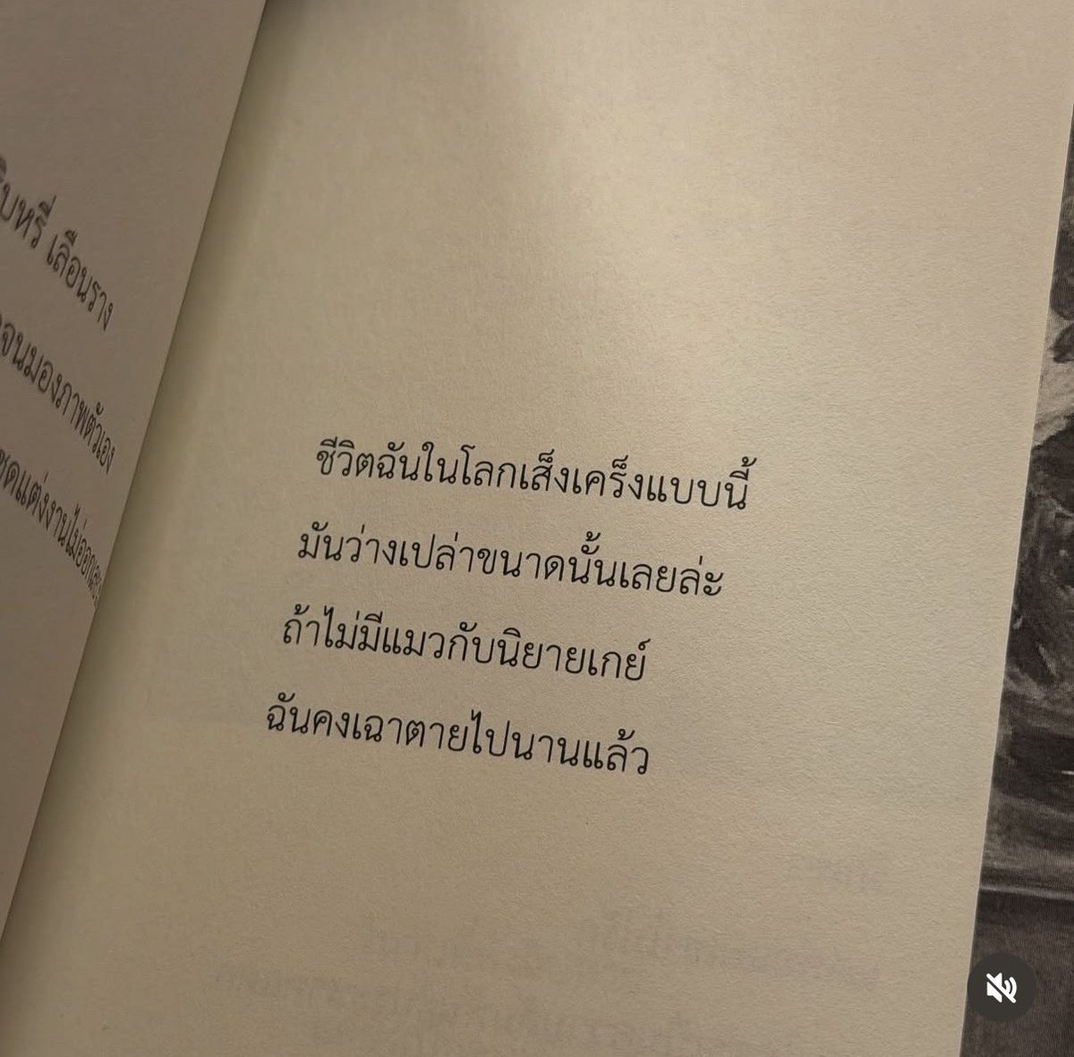 ෆ˚⋆୨ มอนอ ୧⋆˚ෆ tweet media