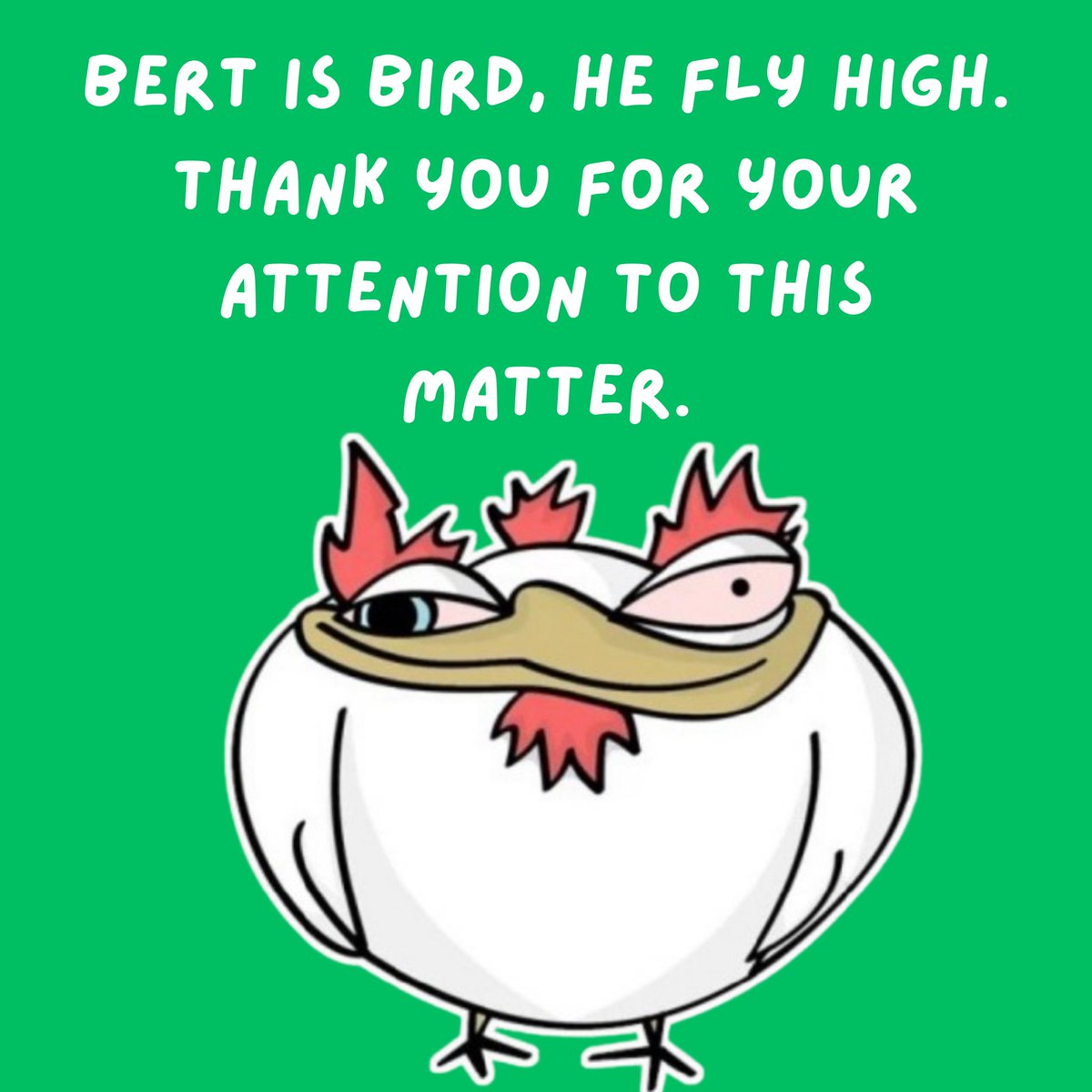 $BERT CMO 🐔🪽 tweet media