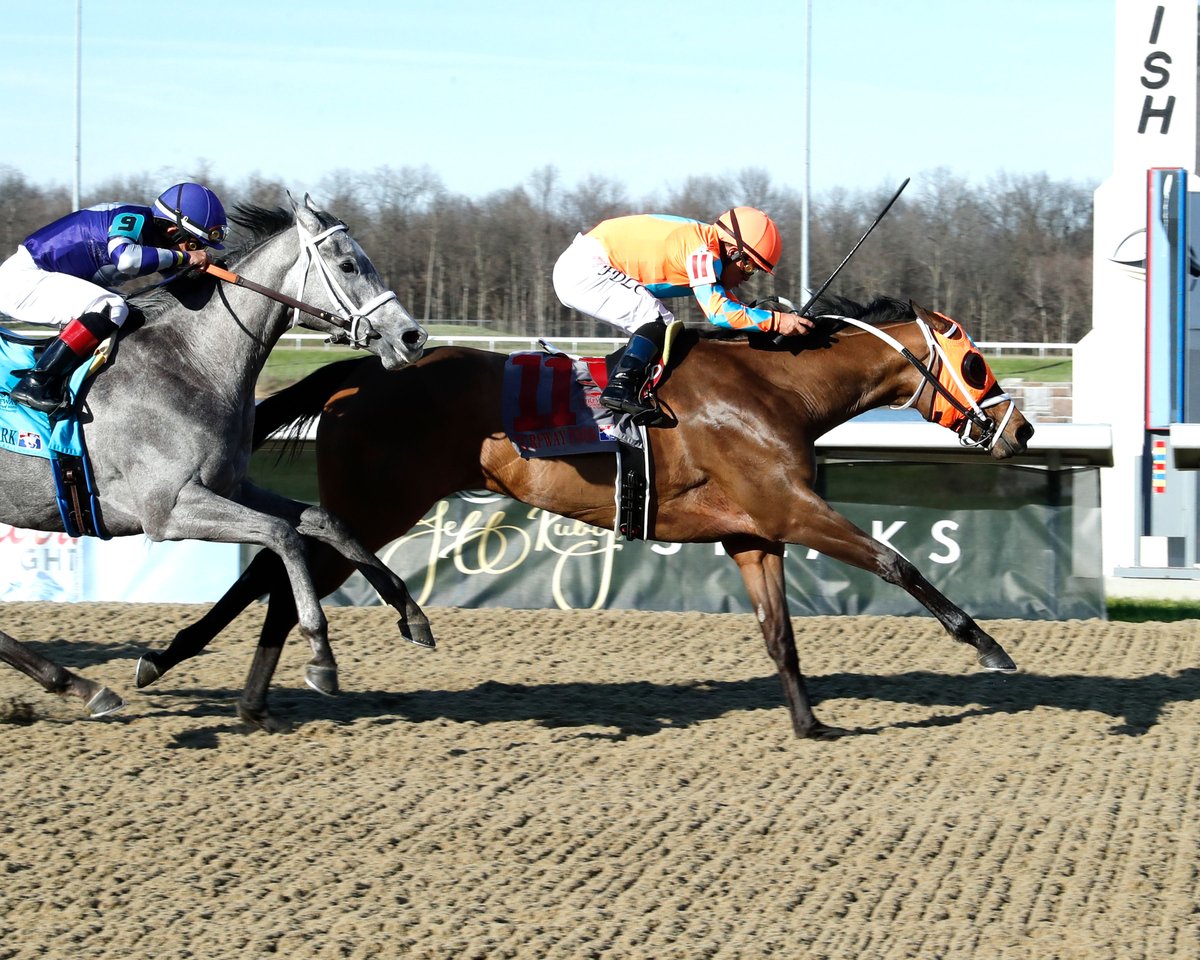 𝐛𝐫𝐢𝐬𝐧𝐞𝐭.𝐜𝐨𝐦 tweet media