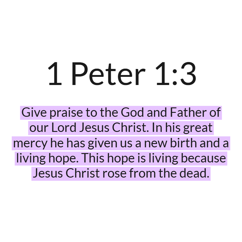 Jesus Insight tweet media