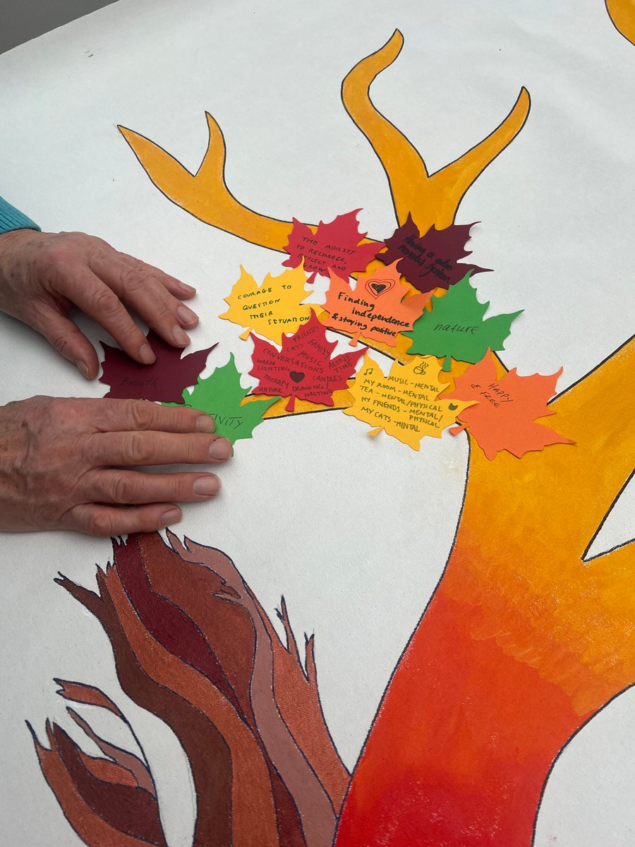 Elmbridge BC tweet media