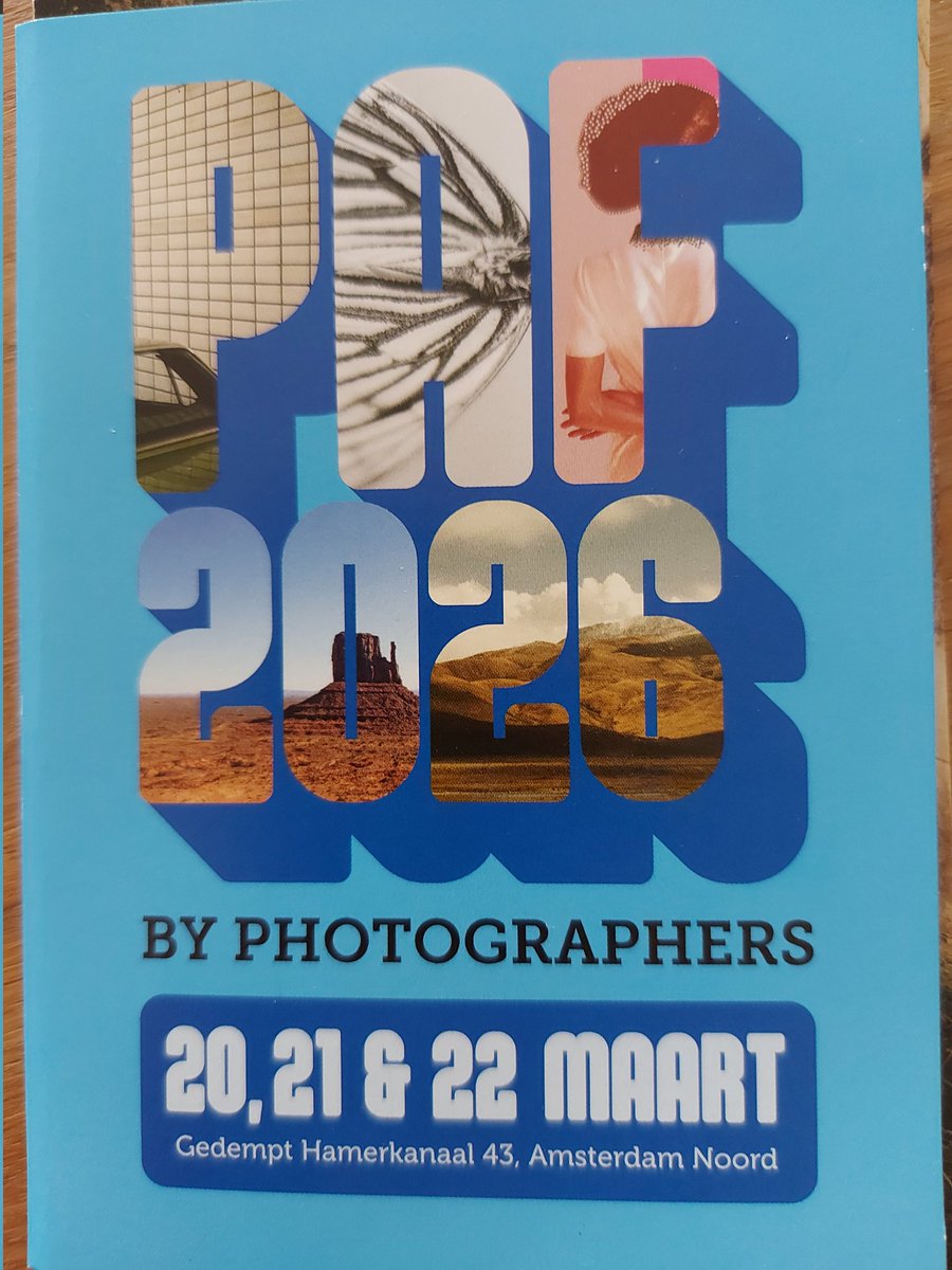 mariska hummel tweet media