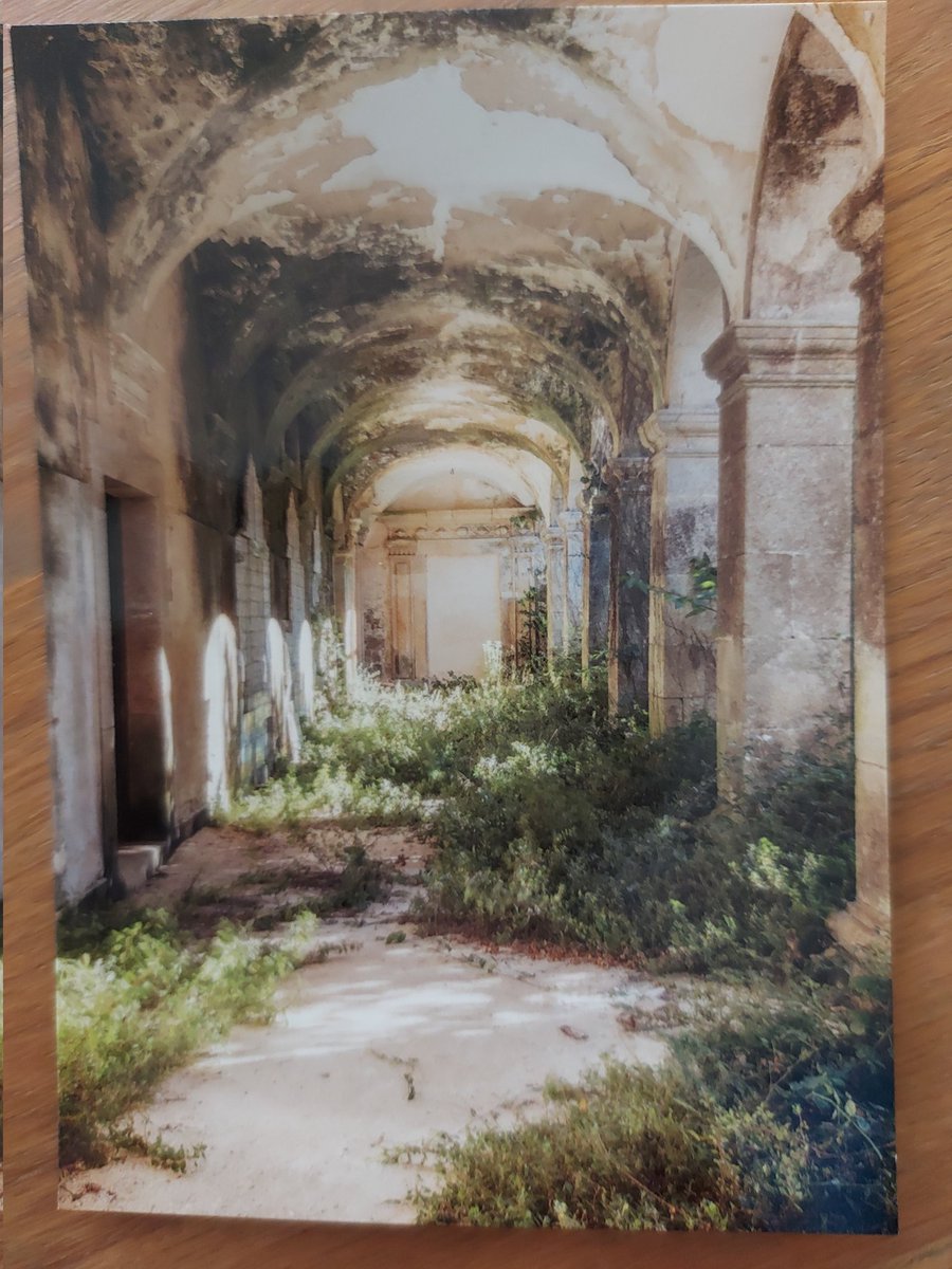 mariska hummel tweet media