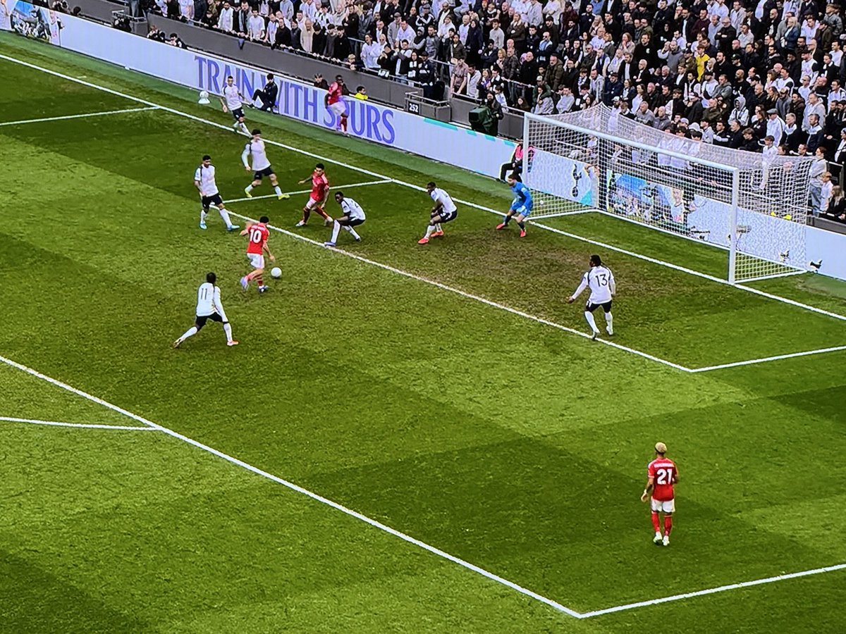 Fingal Tottenham tweet media