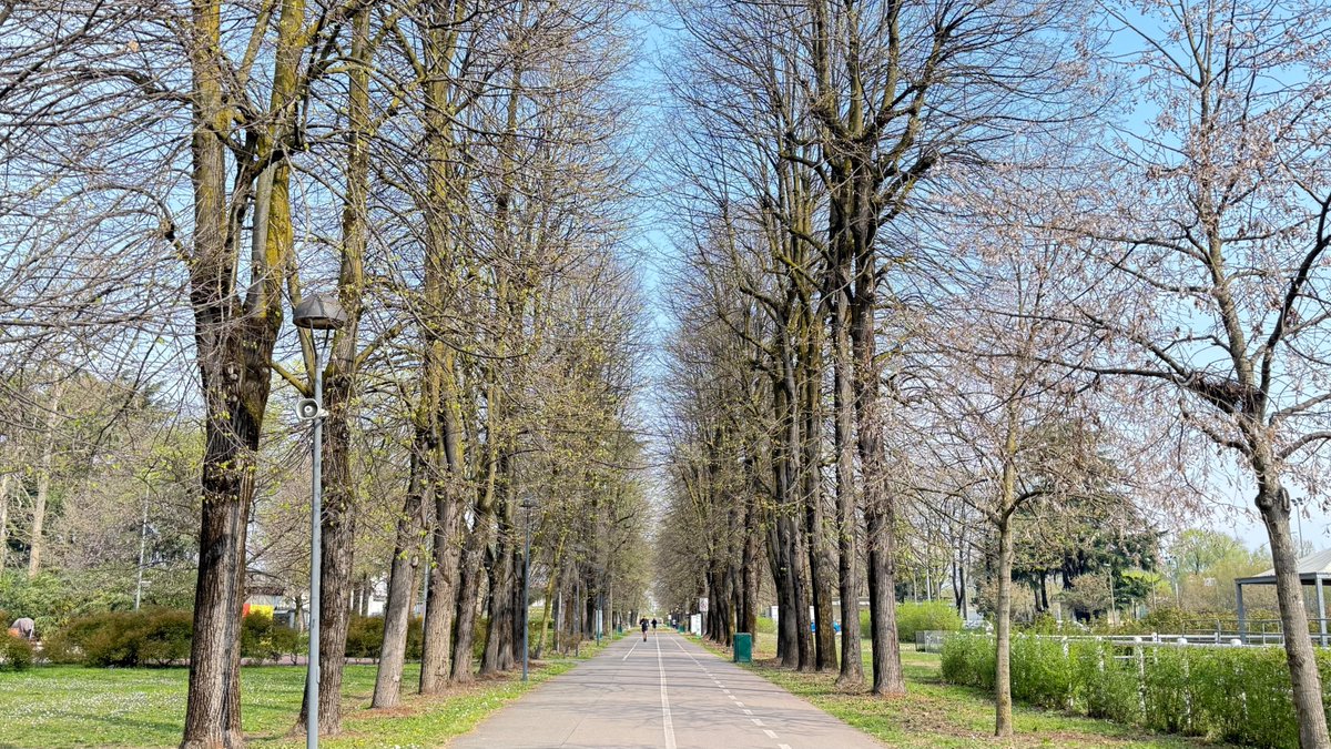 Vαnessα Rαdıce tweet media