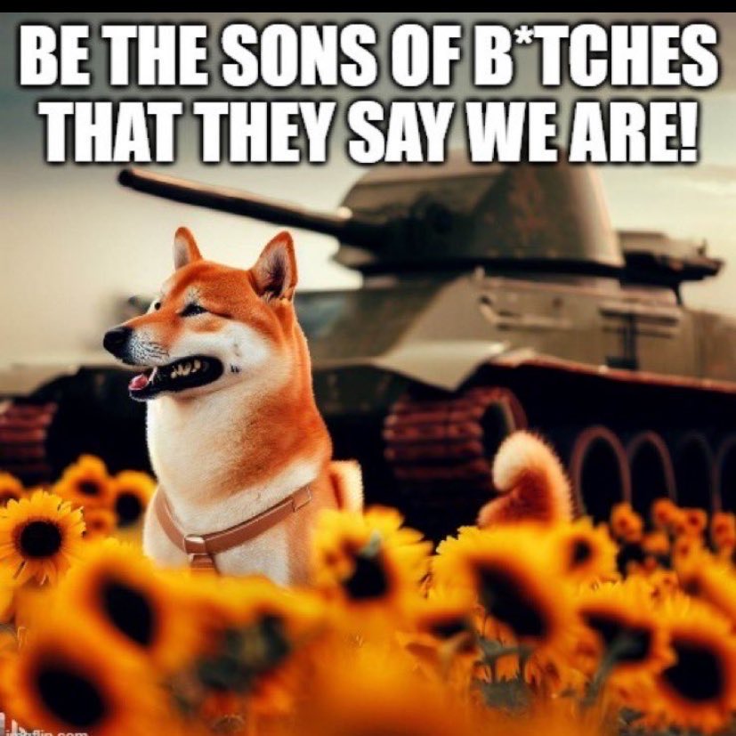 JCBFella3 tweet media