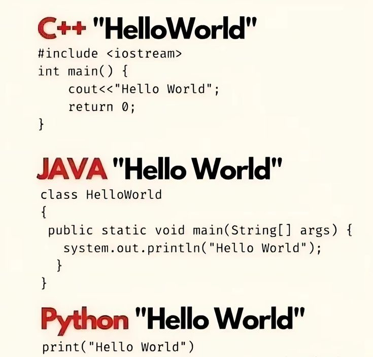 Python Programming tweet media