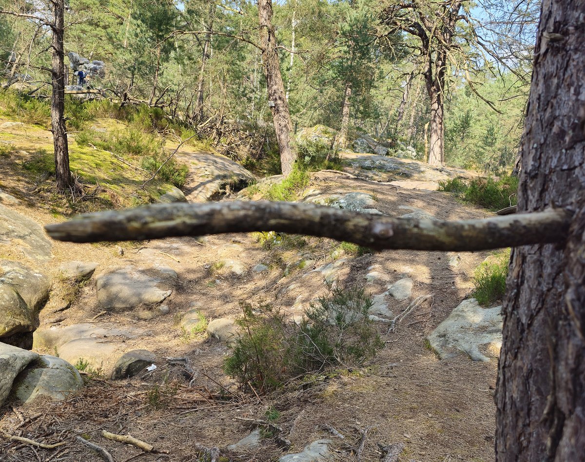 ⫷ François Baranger ⫸ tweet media