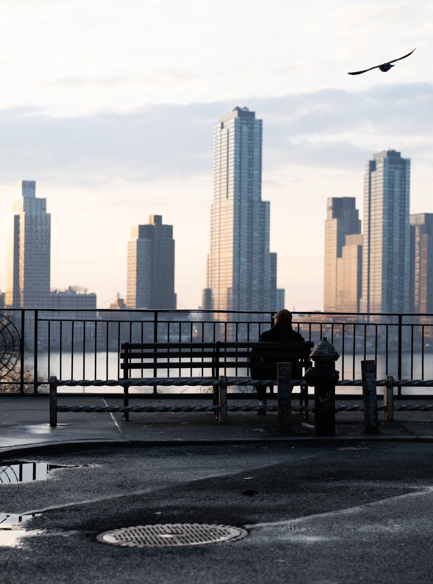 Milan Kolovrat tweet media