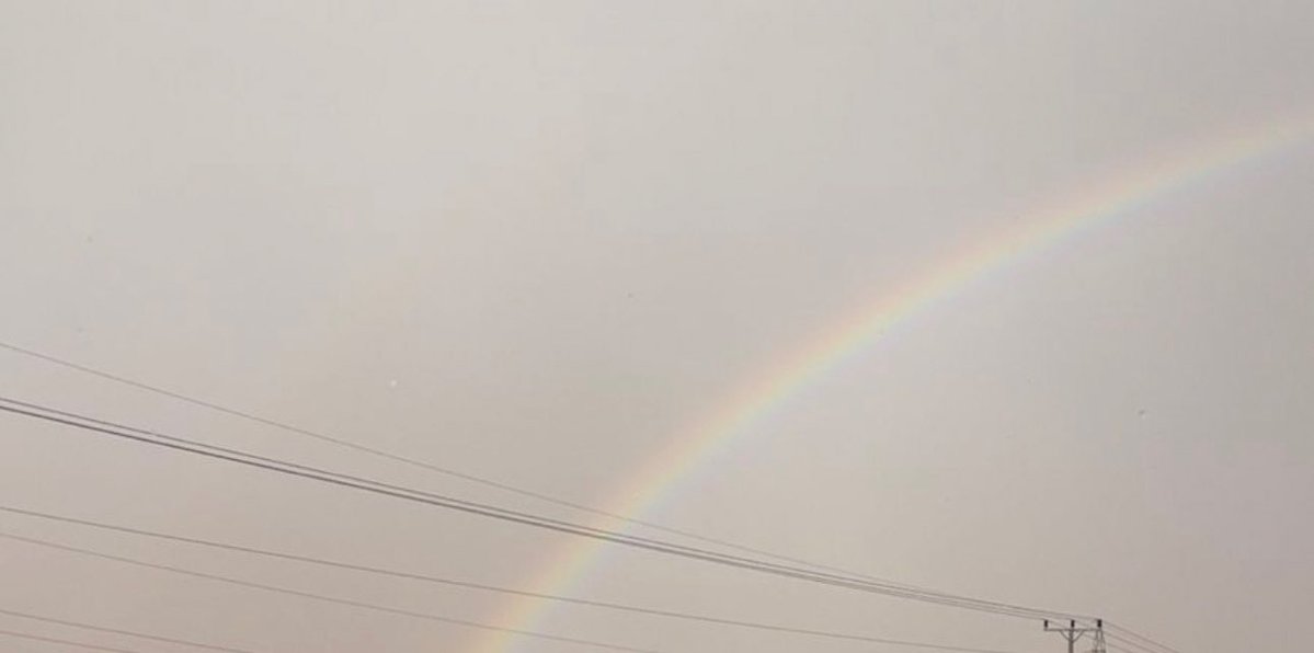 إمٰاثيا 𐙚 tweet media