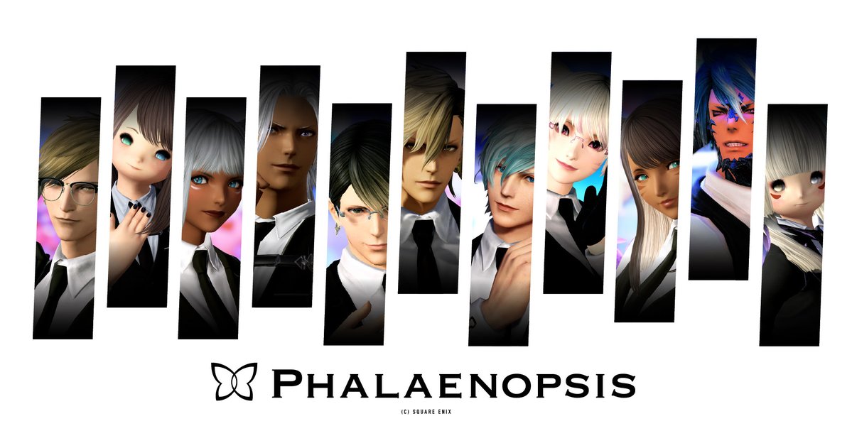 Phalaenopsis tweet media