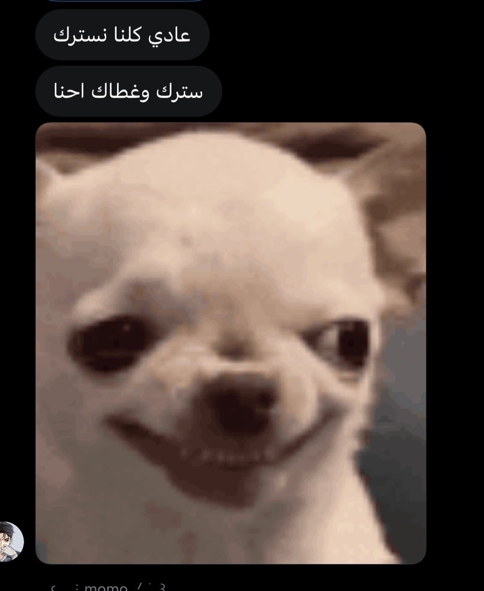 PAIN🩵🎭 tweet media