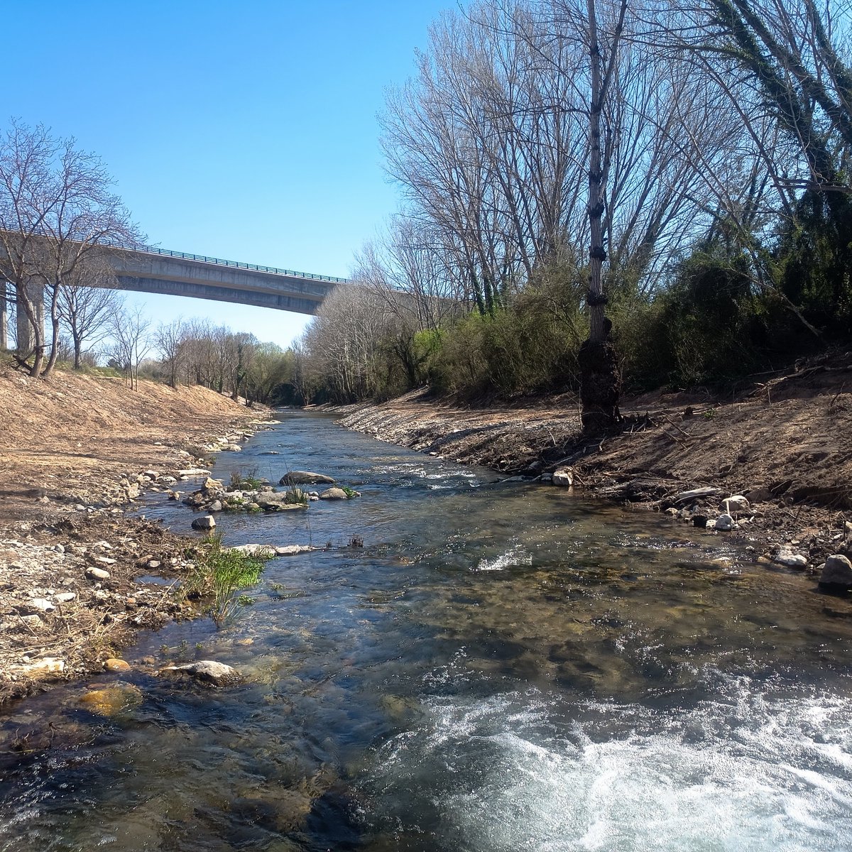 Hardacho tweet media