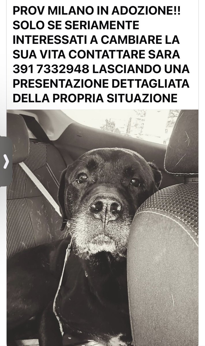 christiana ruggeri tweet media