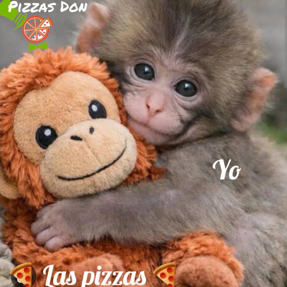 pizzasDon's tweet photo. #pizzatime #pizzalover https://t.co/tUQ1rhJEJ7