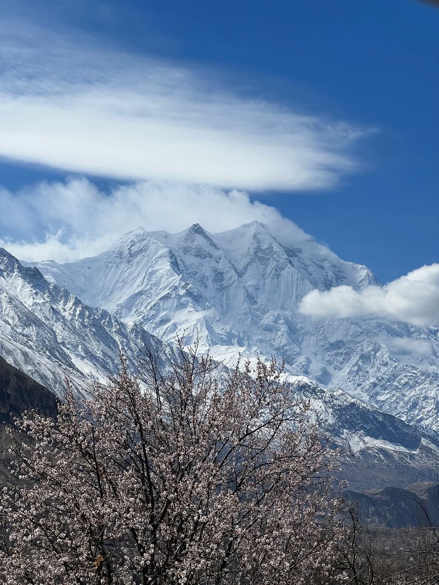 The_North_Blood's tweet image. Navroz in Hunza and Nagar Valley is where culture, nature, and new beginnings meet in the heart of the Karakoram—“Every Navroz is a reminder that life, like these mountains, always finds a way to begin again.” 

The victory of light over darkness 🌸

#Navroz #Eid #Karakoram