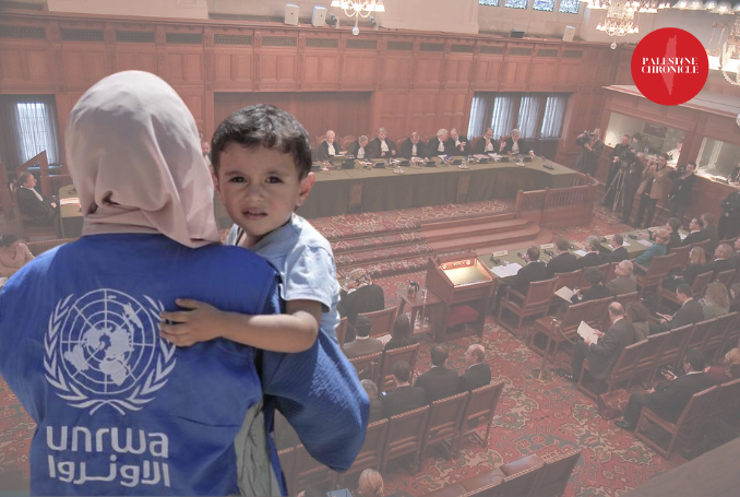 The Palestine Chronicle tweet media