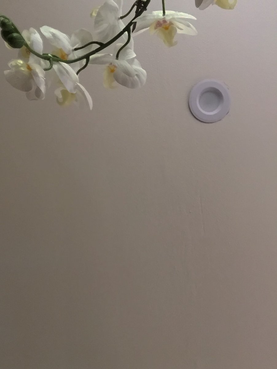 Pixy Support (픽시 서포트) 🧚🏻‍♀️ tweet media