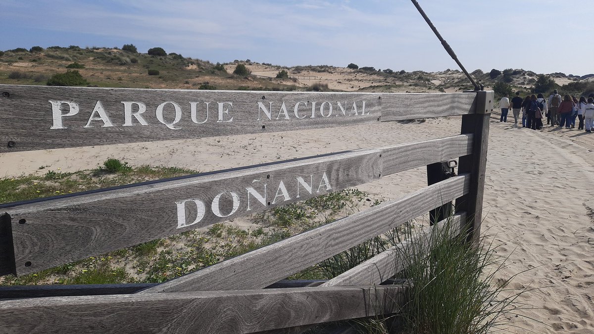 Abraham López Morales tweet media