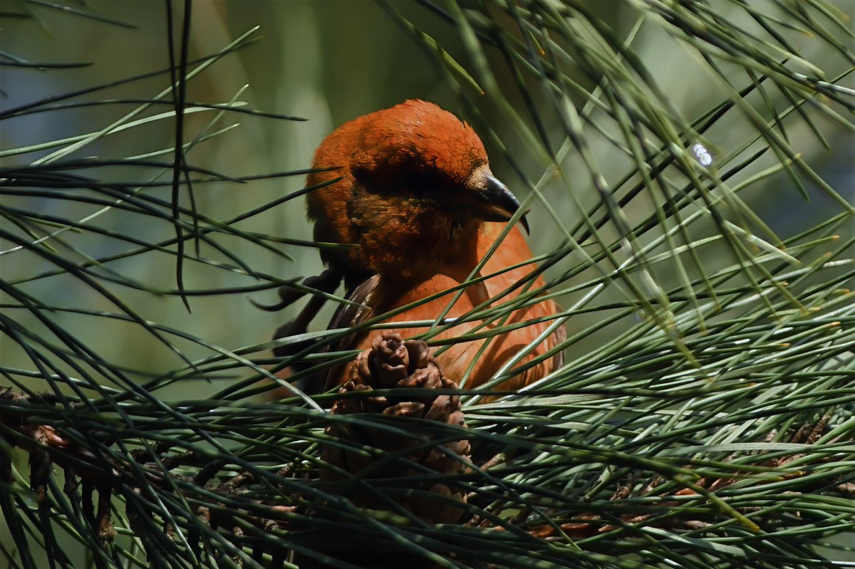 Phil Burnside tweet media