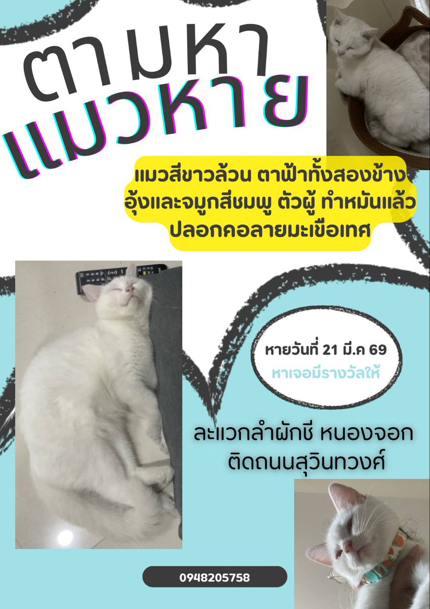 GCQO  ได้ tweet media