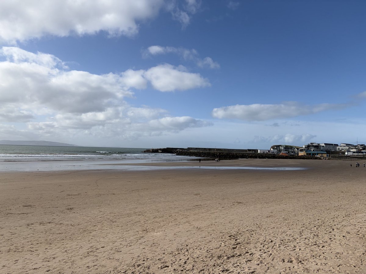 Tweeter of Wit tweet media