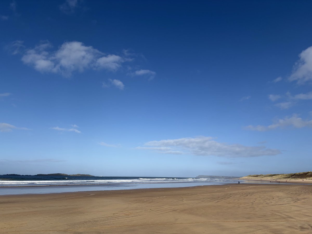 Tweeter of Wit tweet media