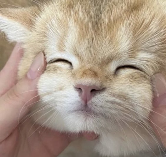 bbyjw ♥︎ tweet media