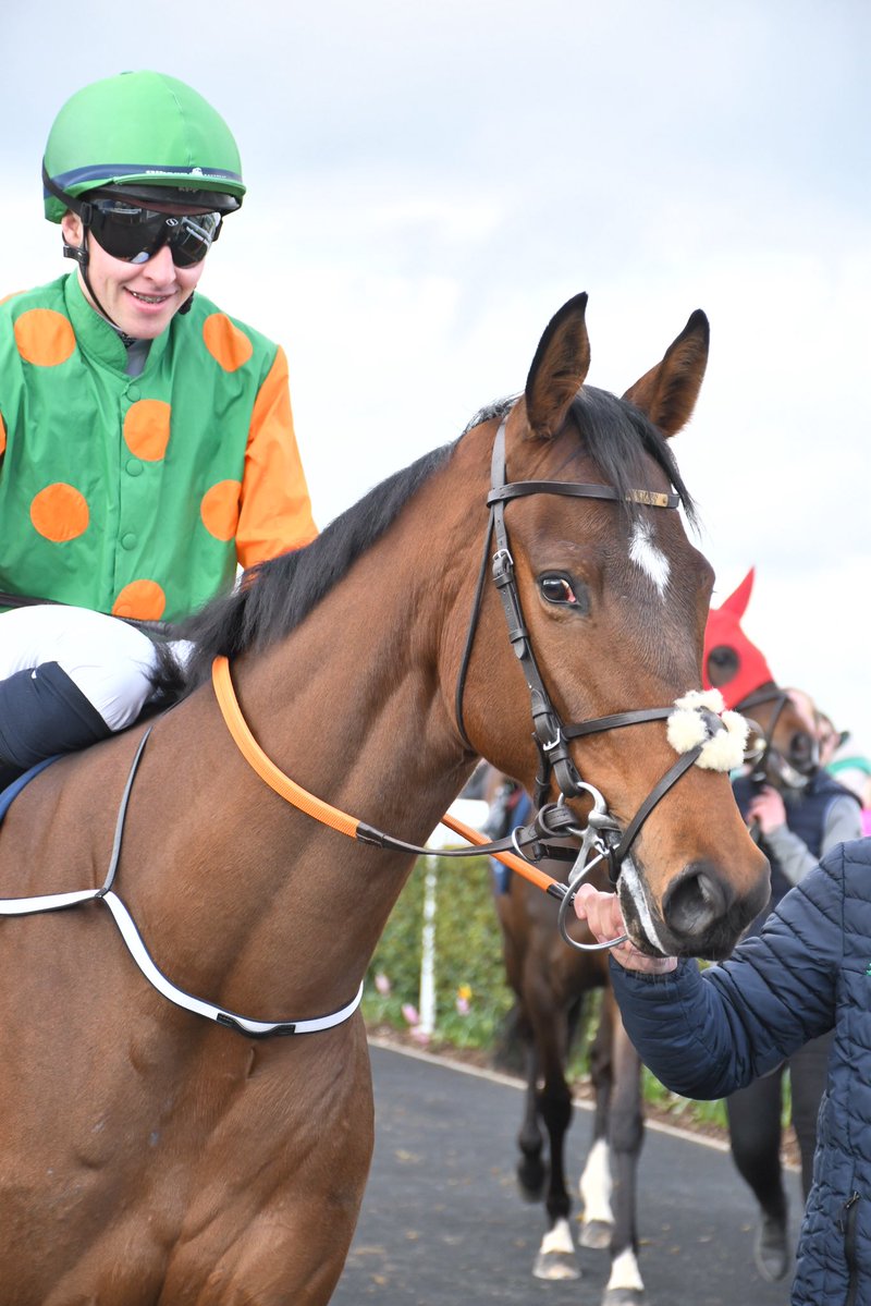 PCequinephotography tweet media