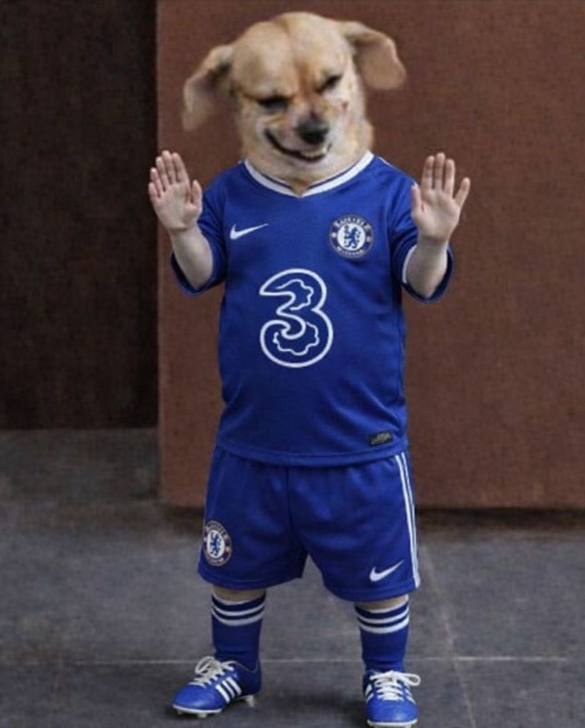 Denis ✪ tweet media