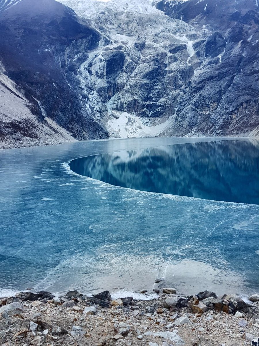 Тимофей tweet media