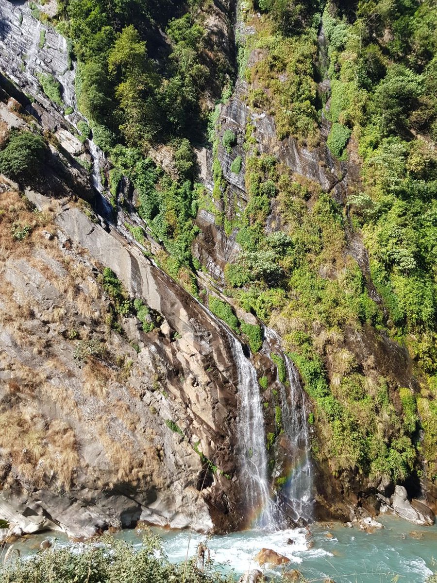 Тимофей tweet media