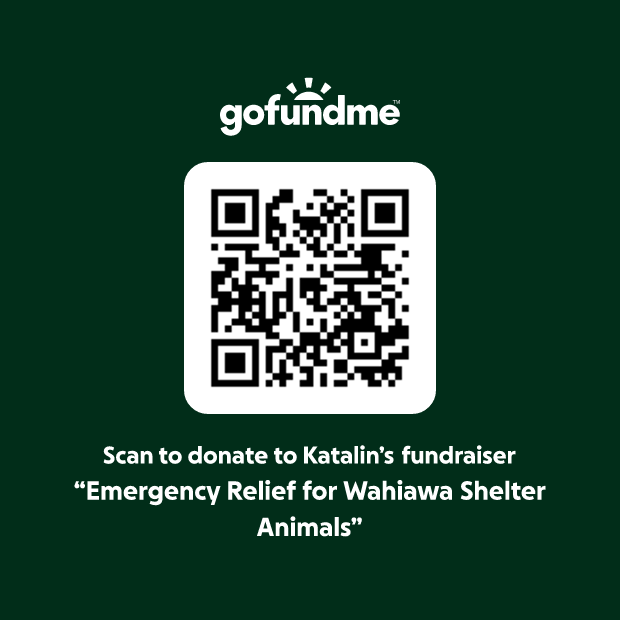 RosegateArt tweet media