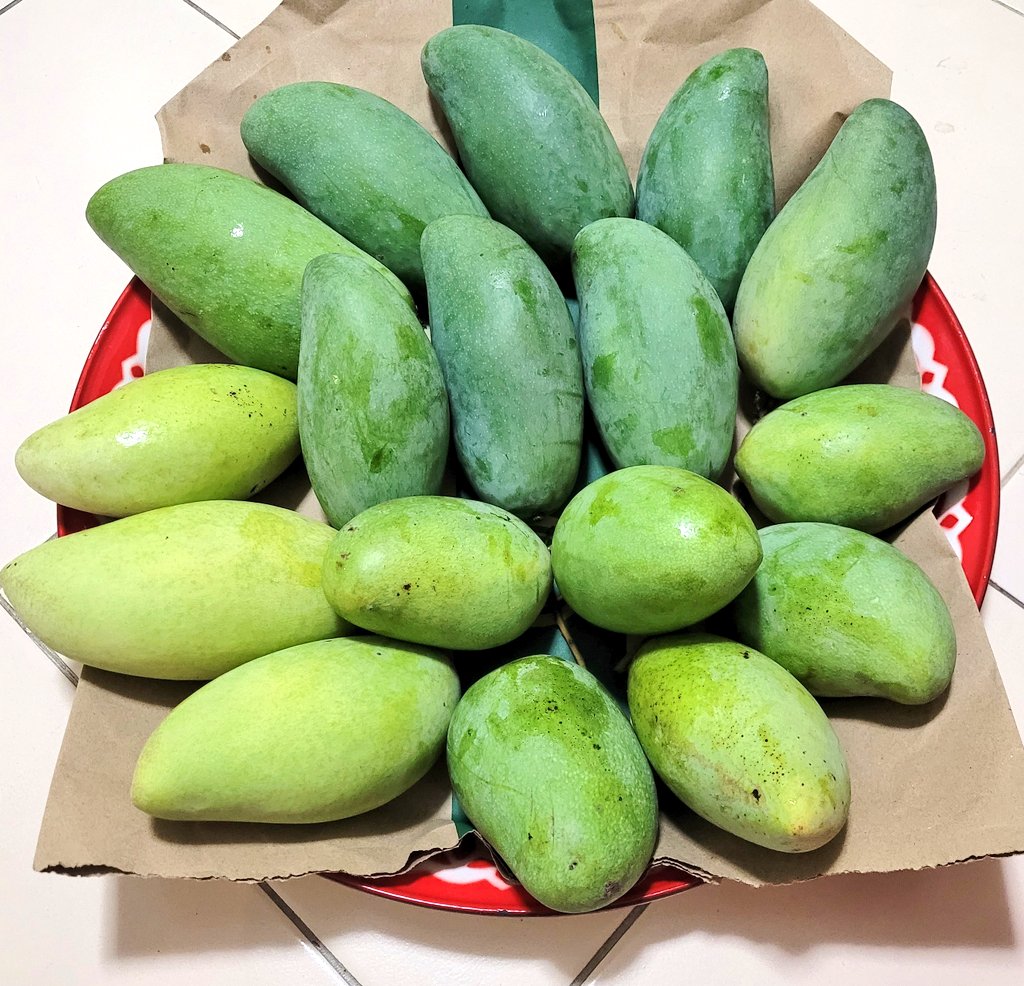 Ms.กะหล่ำปลี🥬 tweet media