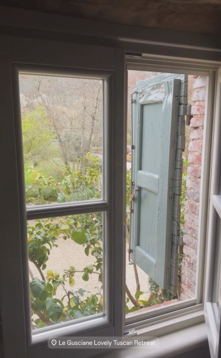 Lunanera tweet media