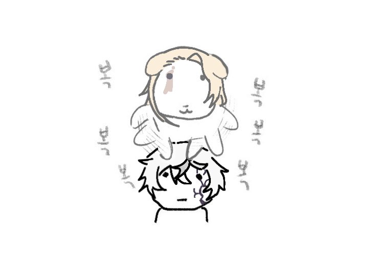 반바고항 tweet media