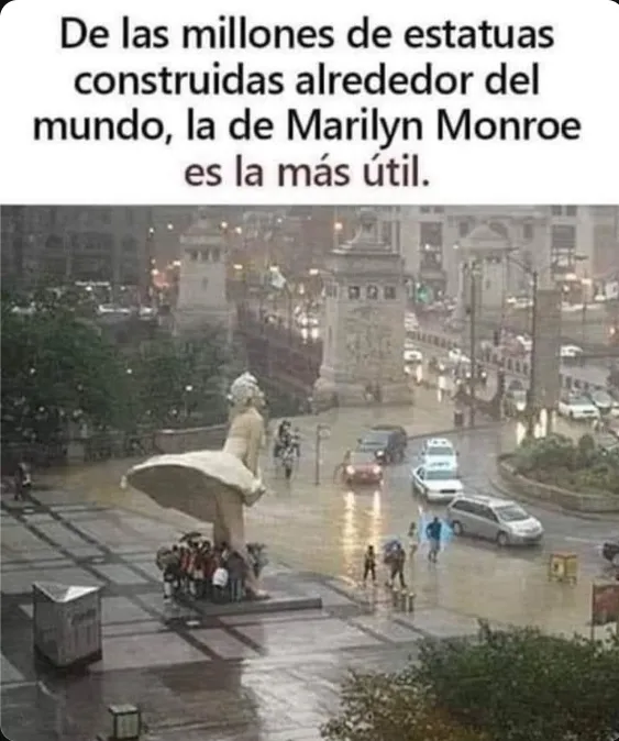 Rincón Curioso tweet media