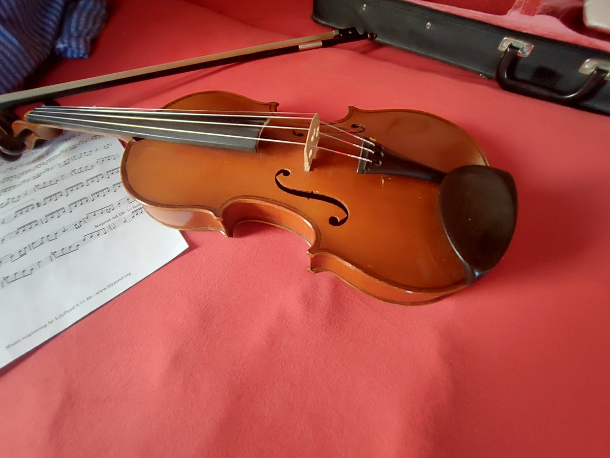 ✒️_Kerduen Echos💚 tweet media