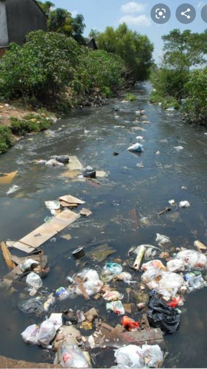 PBE 🦔🌳🐤🐾 tweet media