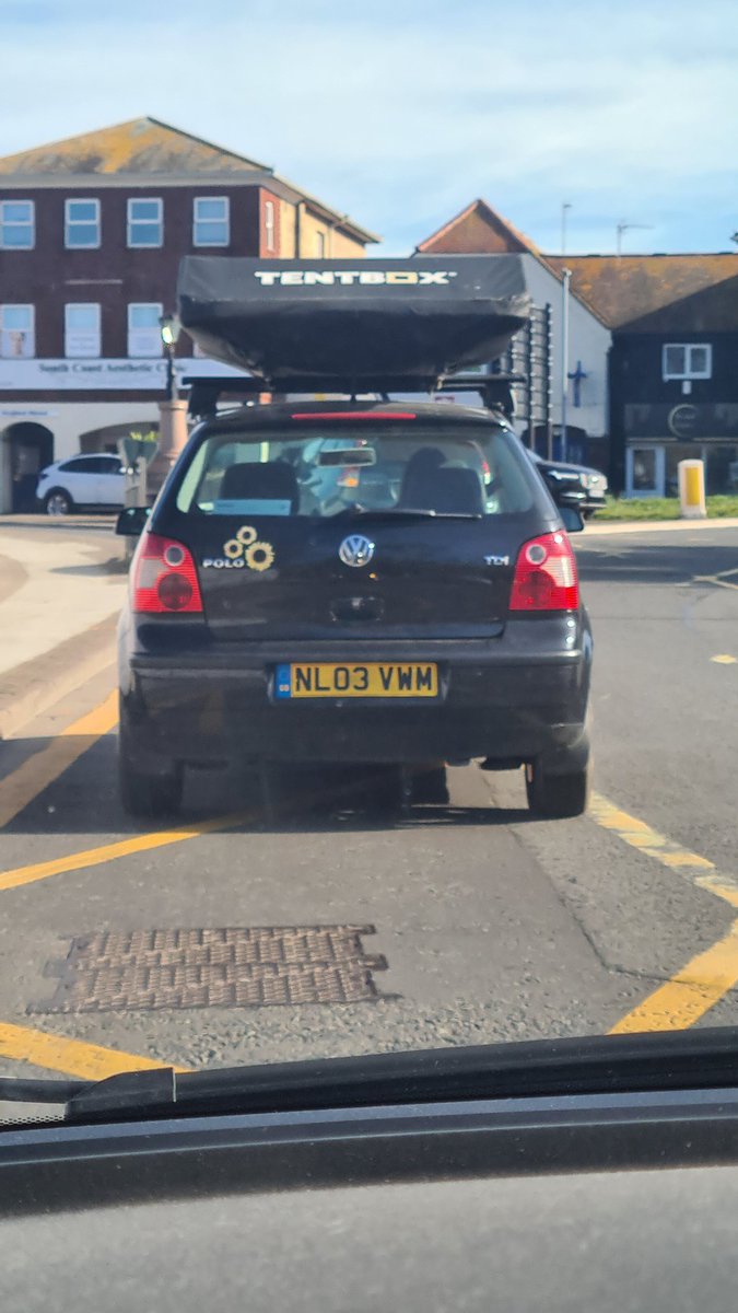 Dogknob1 tweet media