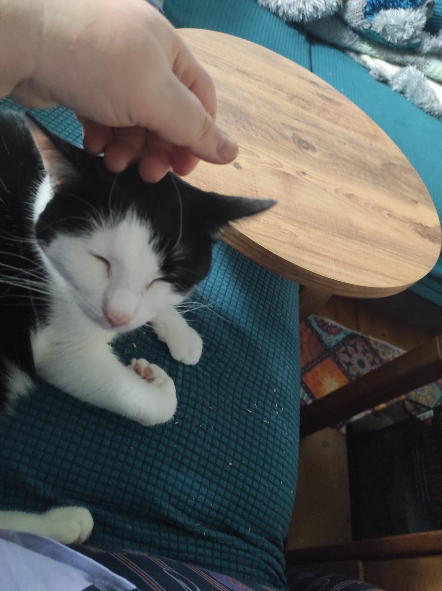 Rockkitties tweet media
